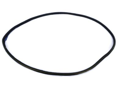 Chrysler 200 Weather Strip - 68145007AB