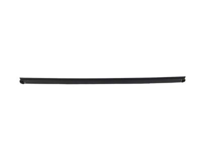 Mopar 68285720AB W/STRIP-Door Belt Inner