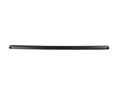 Mopar 68285720AB W/STRIP-Door Belt Inner