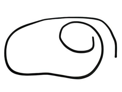 Mopar 5174606AA Seal-SUNROOF Glass