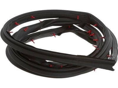 2000 Dodge Ram Wagon Door Seal - 55359200AA