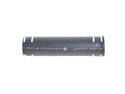 Ram 52029516AC