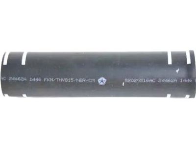 Ram 52029516AC