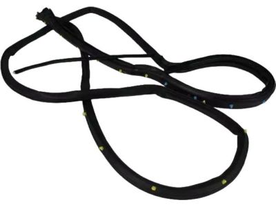 2022 Dodge Durango Weather Strip - 55399187AG