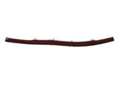 2004 Dodge Dakota Weather Strip - 55257240AE