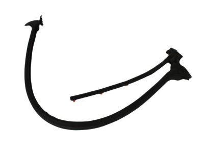 2009 Dodge Dakota Weather Strip - 55359396AG