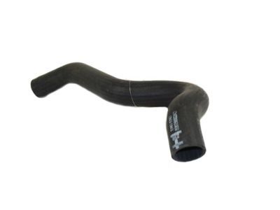 2002 Dodge Ram 3500 Radiator Hose - 52029002AD