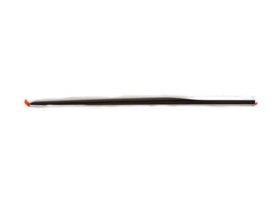 Mopar 68228677AA Molding-Sliding Door