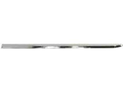 Mopar 68228677AA Molding-Sliding Door