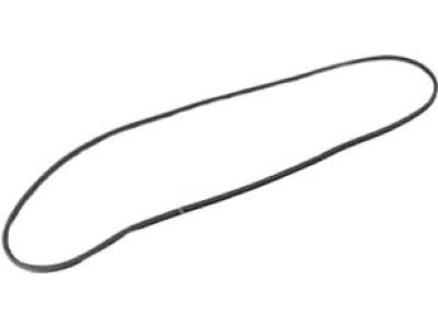 2020 Jeep Renegade Door Seal - 68420172AA