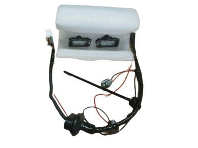 Mopar 68360247AA Lamp Kit-License Plate