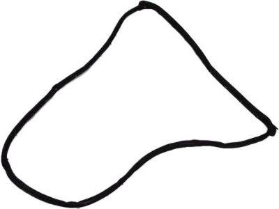 Mopar 5074521AC WEATHERSTRIP-Rear Door Mounted
