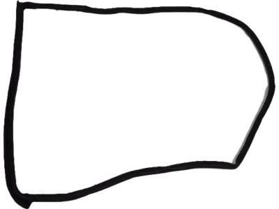 2014 Chrysler 200 Weather Strip - 5074521AC