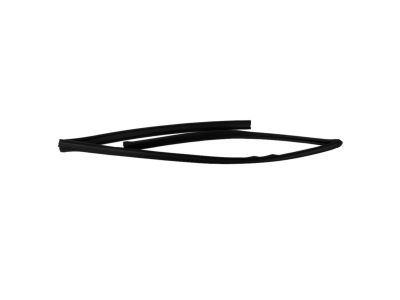 Mopar 4894929AC Channel-Front Door Glass 4894929AC Mopar Channel-Front Door Glass Product Photo 1 of 3