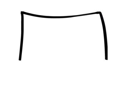 Mopar 68039966AC WEATHERSTRIP-Front Door Glass