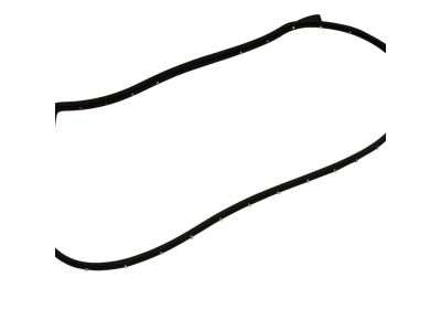 Mopar 5074645AF WEATHERSTRIP-Front Door Mounted