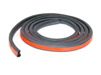 Dodge Ram Wagon Weather Strip - 4217553