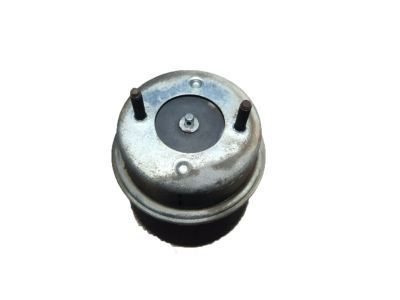 Jeep Cruise Control Servo - 4669979