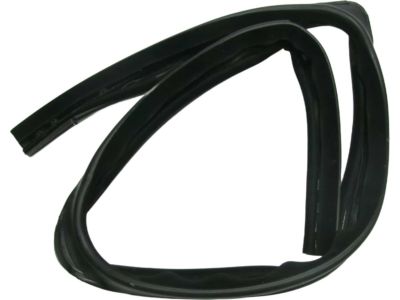 Dodge Nitro Window Run - 55360937AF