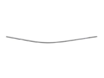 Mopar 68257471AD Molding-Day Light Opening