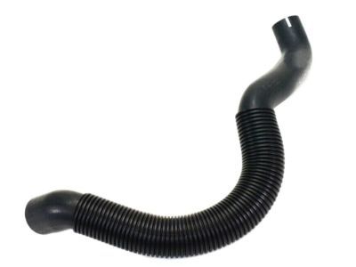 2001 Jeep Cherokee Radiator Hose - 52028286AE