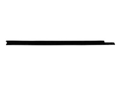 Mopar 4806139AB WEATHERSTRIP-Front Door Belt