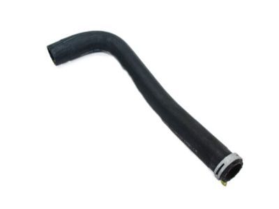 Dodge Ram 2500 Radiator Hose - 52028872AD