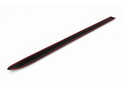 2008 Dodge Ram 3500 Door Moldings - 55077171AC