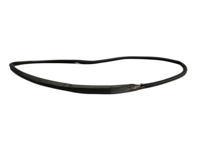 2002 Dodge Viper Door Seal - 4763878AE
