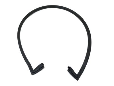 Ram ProMaster 1500 Door Seal - 68229638AA