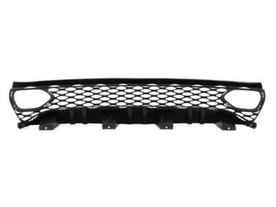 Mopar 68417502AA Grille-Radiator