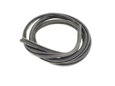 2013 Ram C/V Weather Strip - 5054274AD