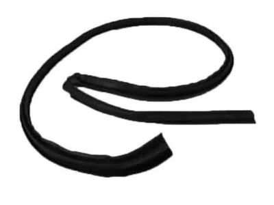 2005 Chrysler PT Cruiser Door Seal - 4724784AC