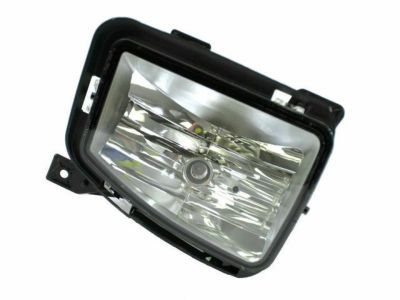 Mopar 68104821AF Lamp-Front Fog