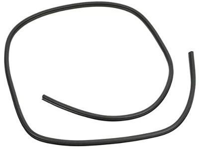 2011 Ram 5500 Weather Strip - 55112360AC