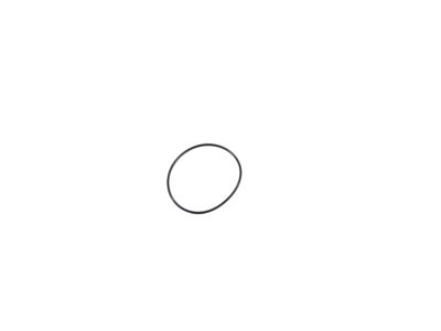 Mopar 68436635AA O Ring