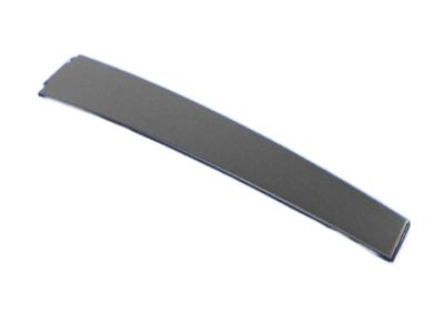 2023 Dodge Charger Door Moldings - 57010429AD