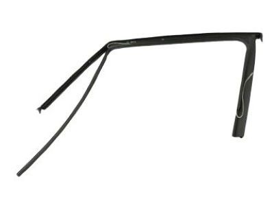 Mopar 68247285AB W-Strip-Front Door Flush Glass