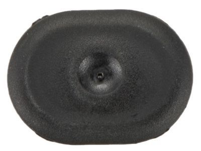 Mopar 68043989AA Plug