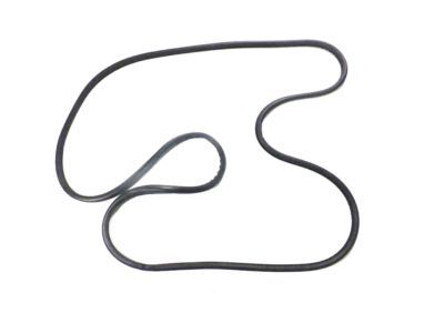 2002 Dodge Sprinter 2500 Weather Strip - 5104274AA