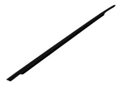 2005 Dodge Magnum Door Seal - 4805996AB