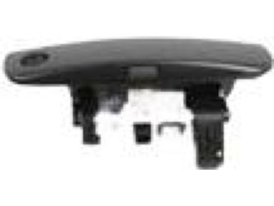 2017 Dodge Charger Door Handle - 1MZ85RXFAJ