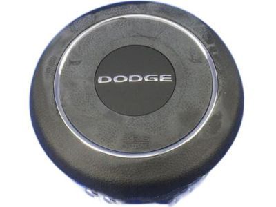 Dodge 1RV69DX9AC