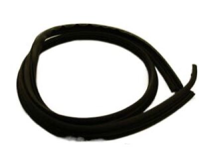 2003 Chrysler 300M Weather Strip - UP92XXXAC