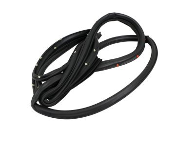 Dodge Durango Weather Strip - 55399185AB