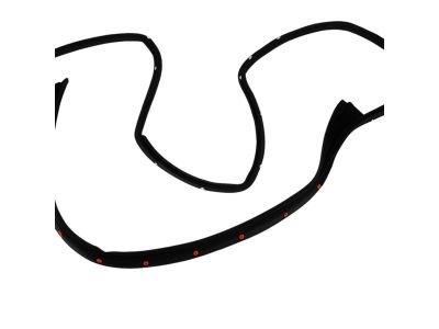 Mopar 55399185AB WEATHERSTRIP-Front Door Opening