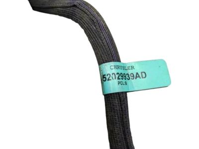 Ram 52029841AH