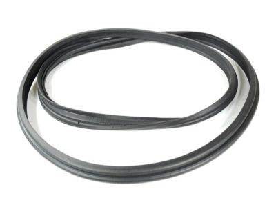 Dodge Dart Weather Strip - 68082813AB