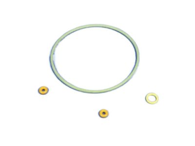 Mopar 68082866AA ORING Kit