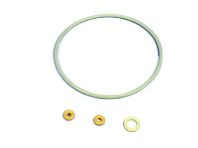 Mopar 68082866AA ORING Kit